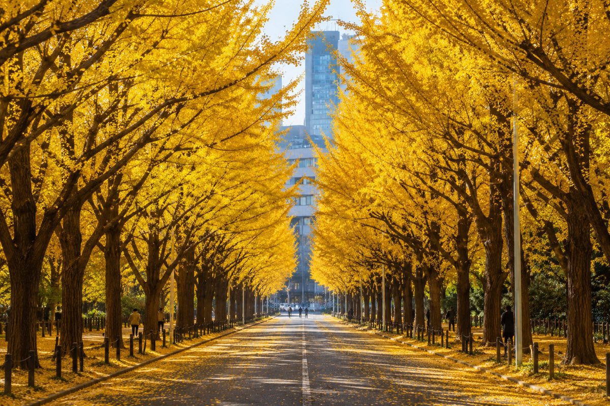 Avenue of ginkgo trees in full golden yellow forming a tunnel over a Tokyo road
