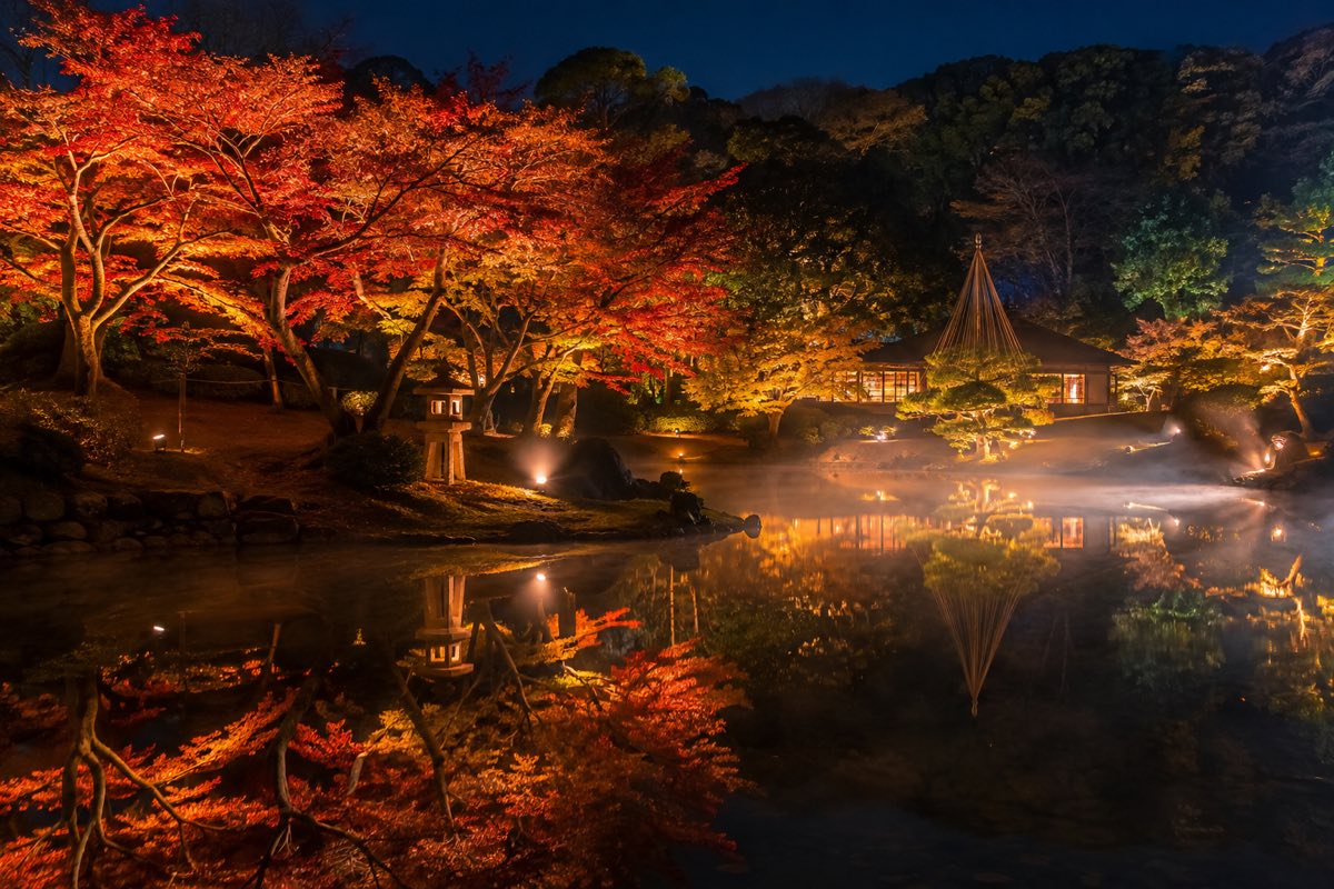 Japanese strolling garden lit at night during autumn illumination, maples reflected in a still pond