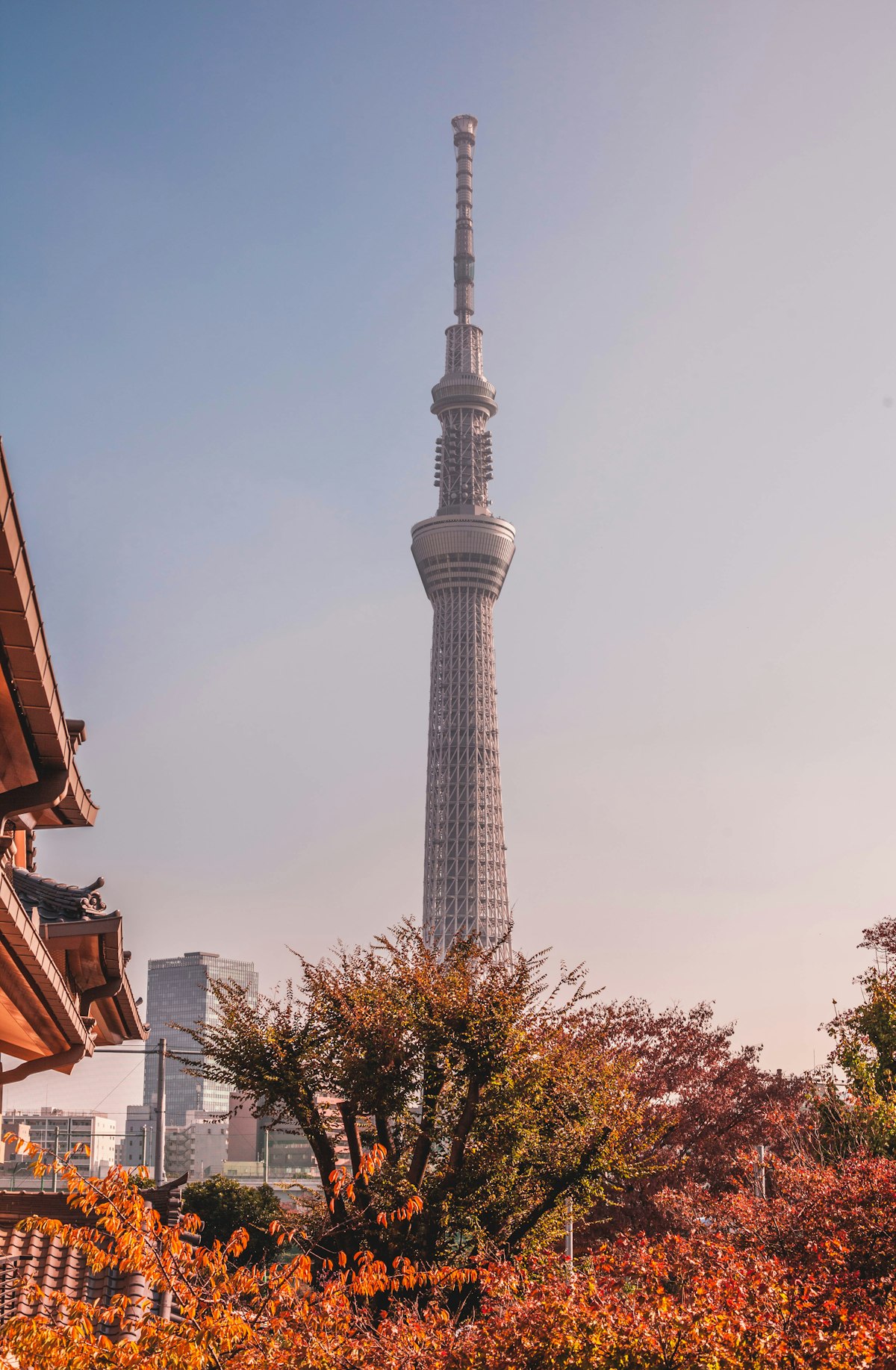 Skytree Tembo Deck observation with panoramic views